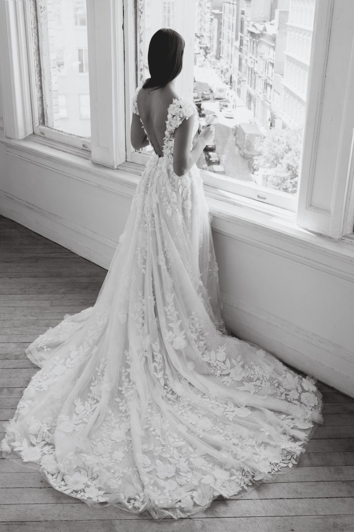 Venetia